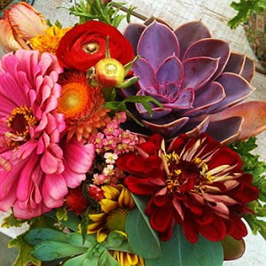 Brentwood Colorful Flowers - Vintage Florals