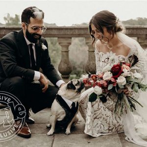 people-magazine-exclusive-feature-article-Doug the Pug's Parents Are Married